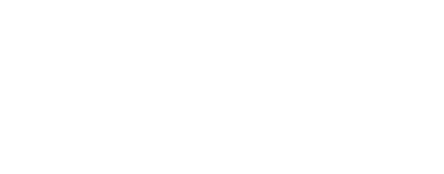 Cogniver
